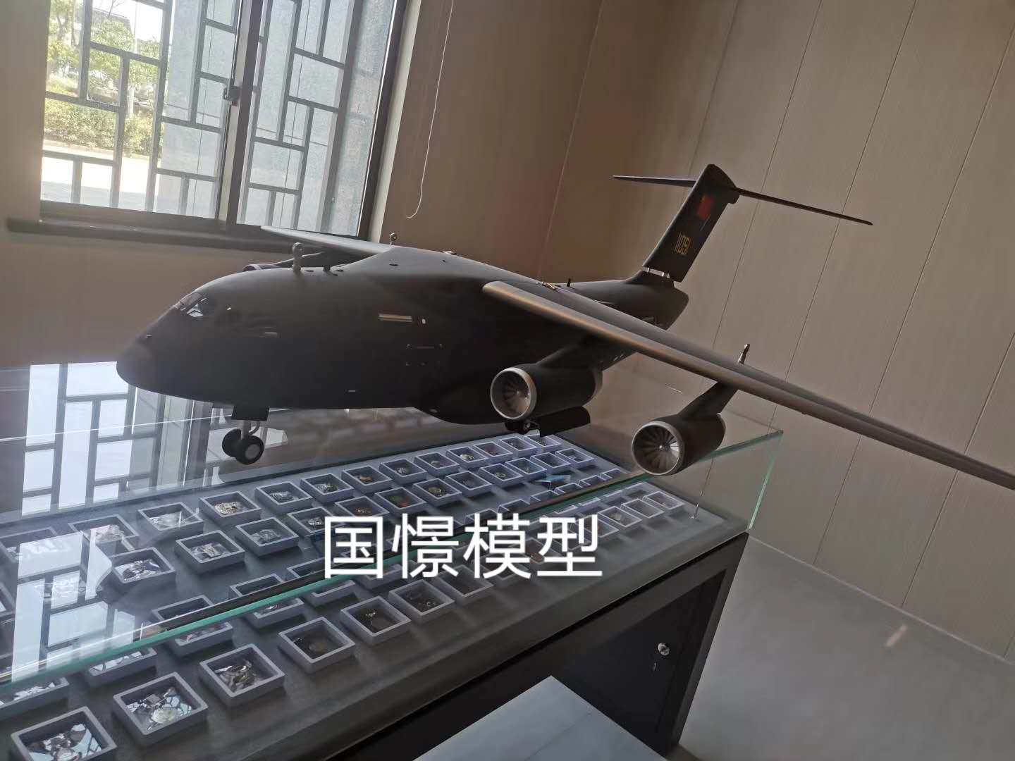 康平县飞机模型
